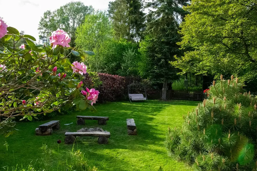 Cameră originală