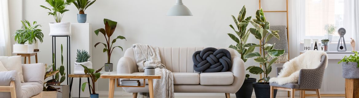 O selecție inspirată de mobilă şi decorațiuni